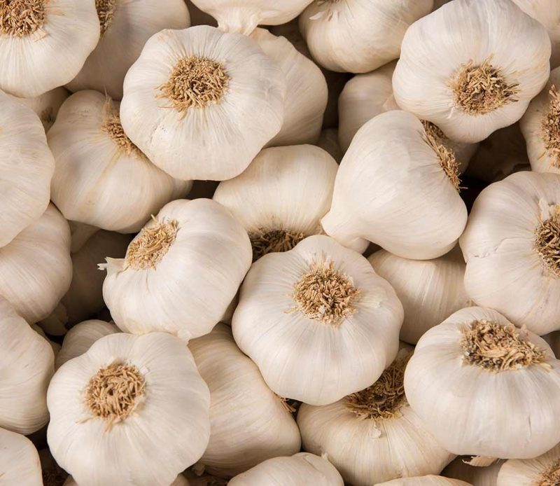 Spring White Garlic - Image 4