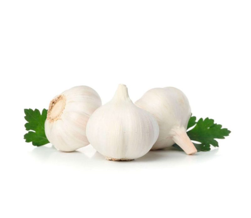 Spring White Garlic