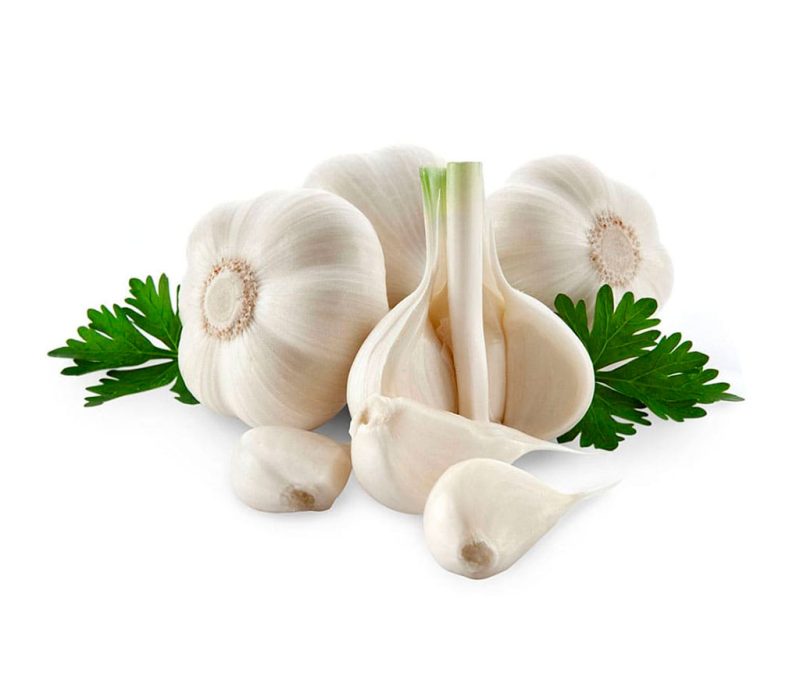 Spring White Garlic - Image 3