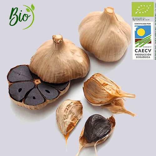Ajo Negro BIO