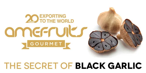 Amefruits Gourmet Ajo Negro​