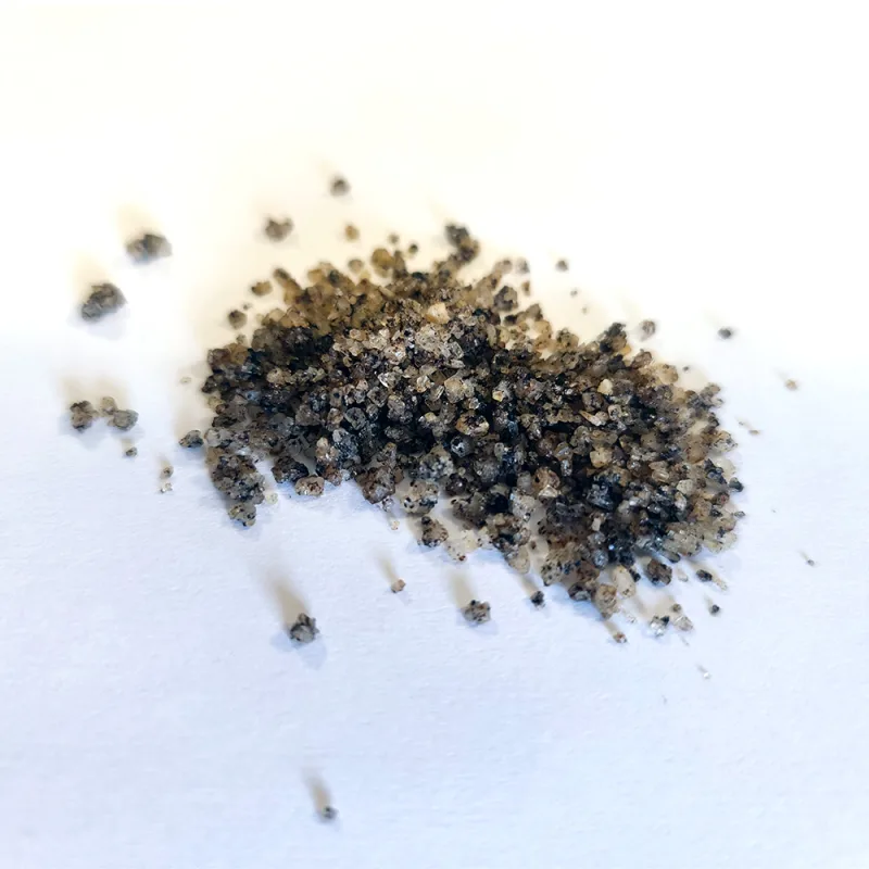 Sea Salt with Black Garlic - Image 2